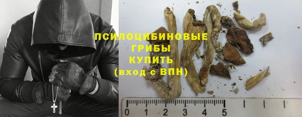 бошки Алзамай