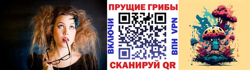 Галлюциногенные грибы Psilocybe  Алексин 